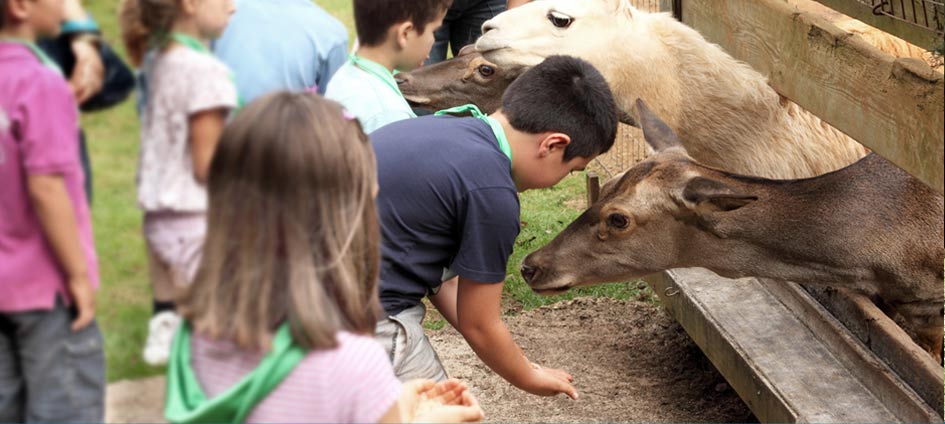 Actividades infantiles