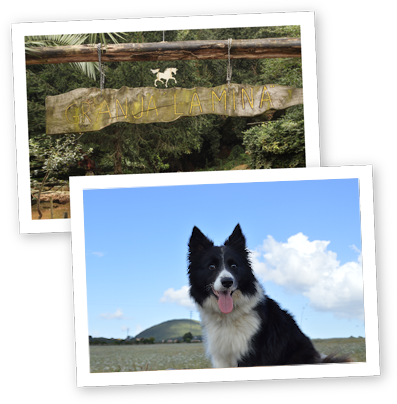 Excursiones infantiles Granja infantil